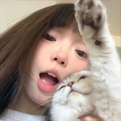 侧车搭档